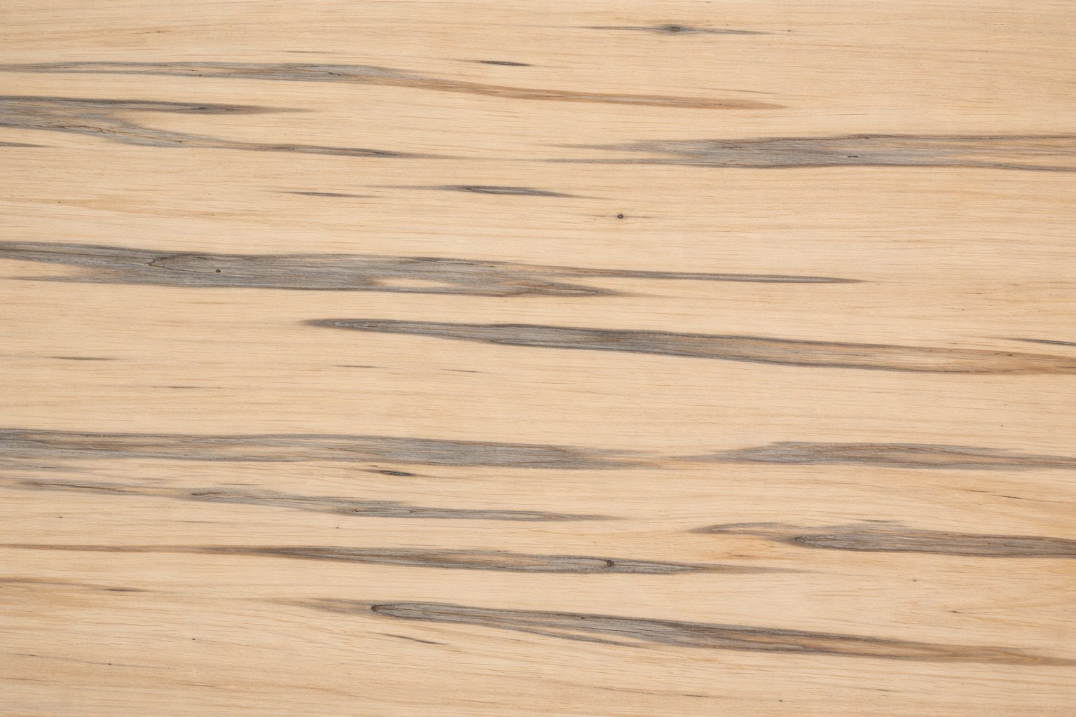 Ambrosia maple wood sample showing characteristic gray and brown streaks
